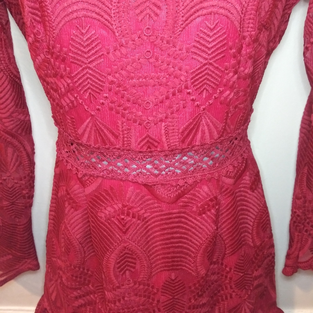 Xenia Boutique Sexy Burgundy Embroidered Net Ruffled Hem Mini Dress - Picture 6 of 16